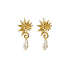 Gold seahorse-shaped earrings with pearl drops on a white background